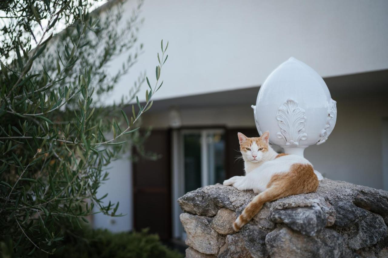 Prestigiosa Villa Con Piscina Condominiale Monopoli Zewnętrze zdjęcie